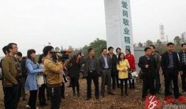 常宁记者爆料最新消息,重大事件引发社会关注！